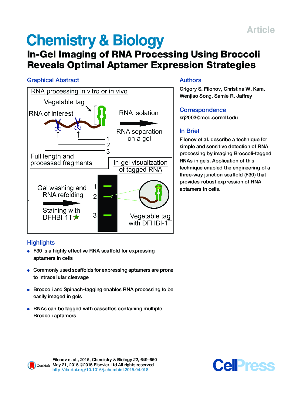 In-Gel Imaging of RNA Processing Using Broccoli Reveals Optimal Aptamer Expression Strategies