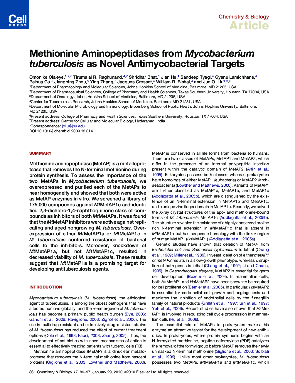 Methionine Aminopeptidases from Mycobacterium tuberculosis as Novel Antimycobacterial Targets