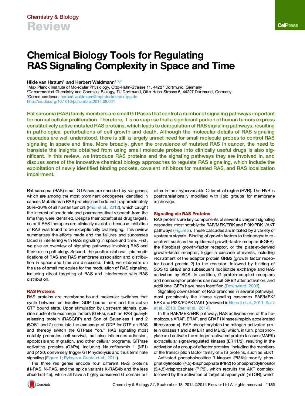 Chemical Biology Tools for Regulating RAS Signaling Complexity in Space and Time