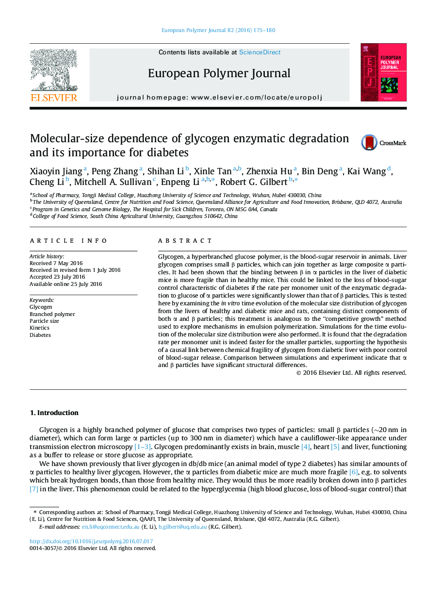 Molecular-size dependence of glycogen enzymatic degradation and its importance for diabetes