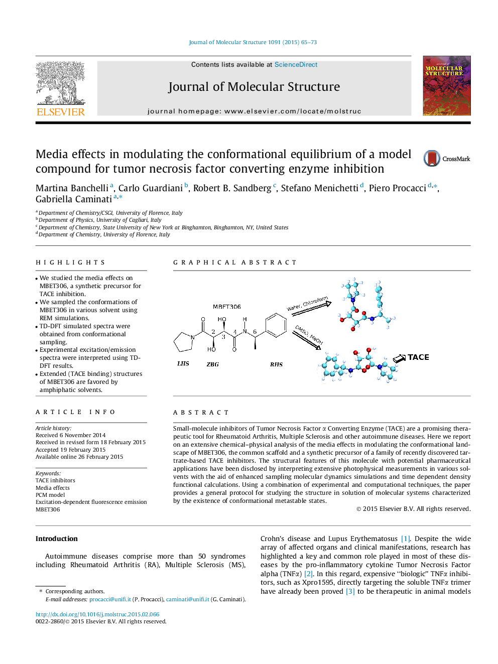 Media effects in modulating the conformational equilibrium of a model compound for tumor necrosis factor converting enzyme inhibition