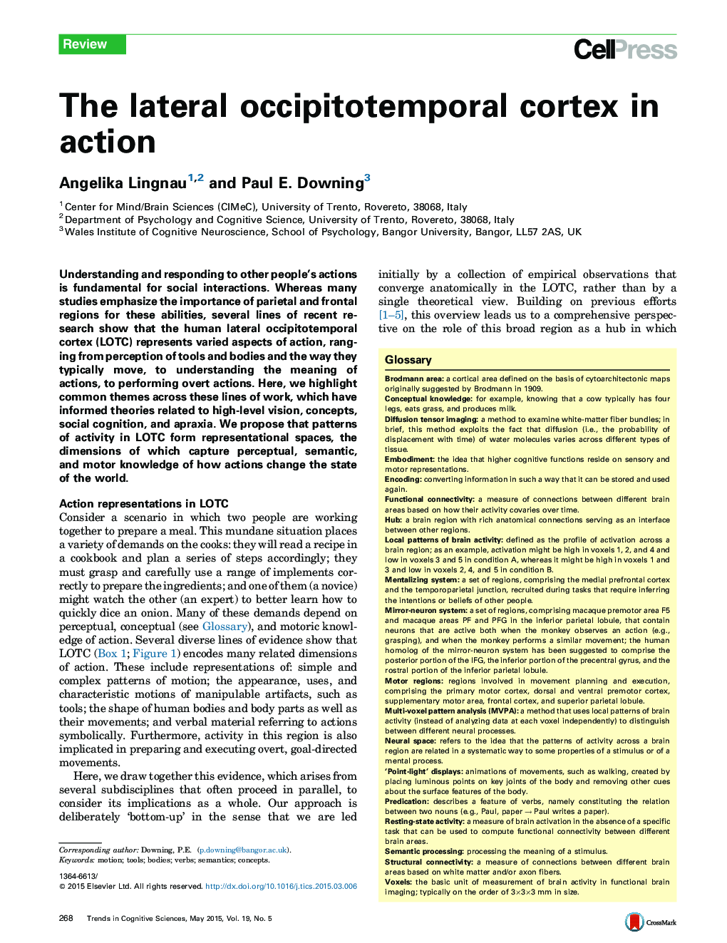 The lateral occipitotemporal cortex in action