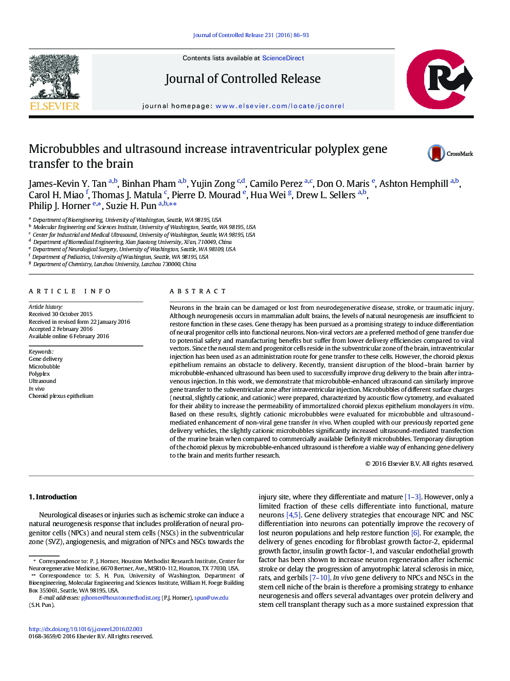 Microbubbles and ultrasound increase intraventricular polyplex gene transfer to the brain