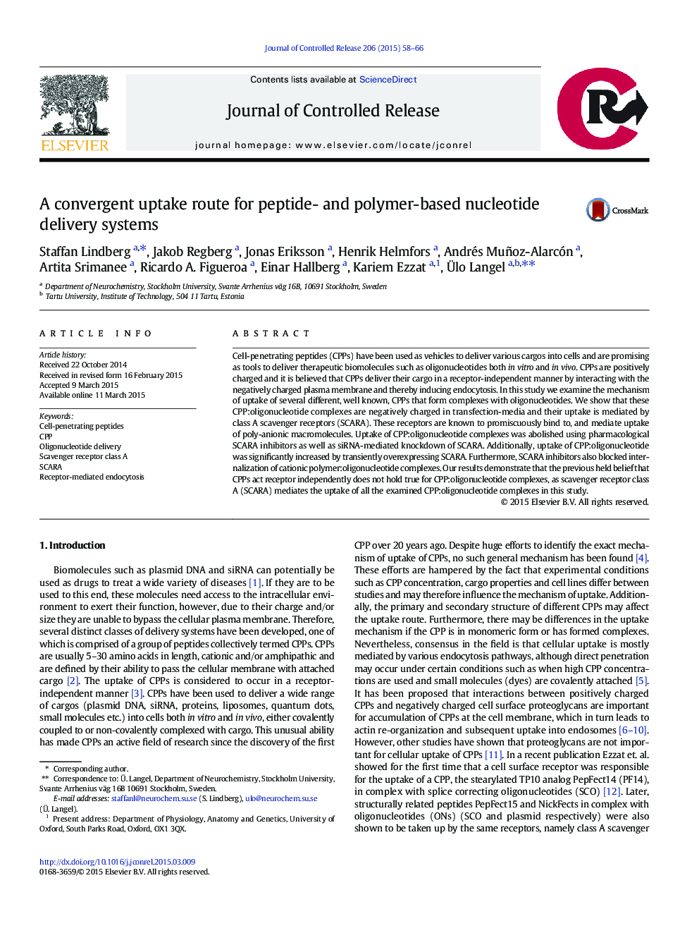 A convergent uptake route for peptide- and polymer-based nucleotide delivery systems