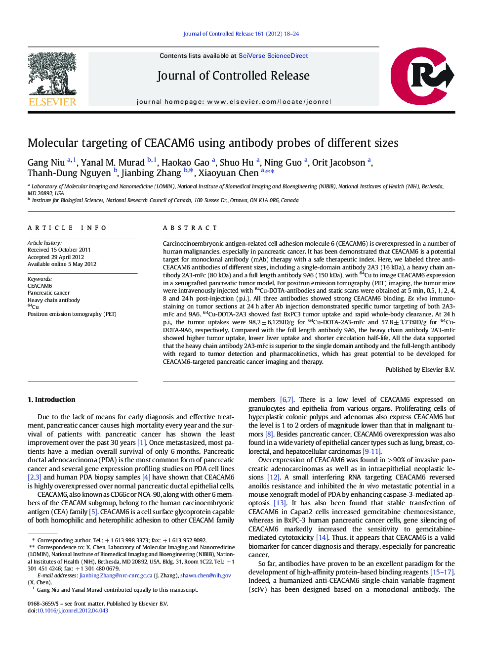 Molecular targeting of CEACAM6 using antibody probes of different sizes