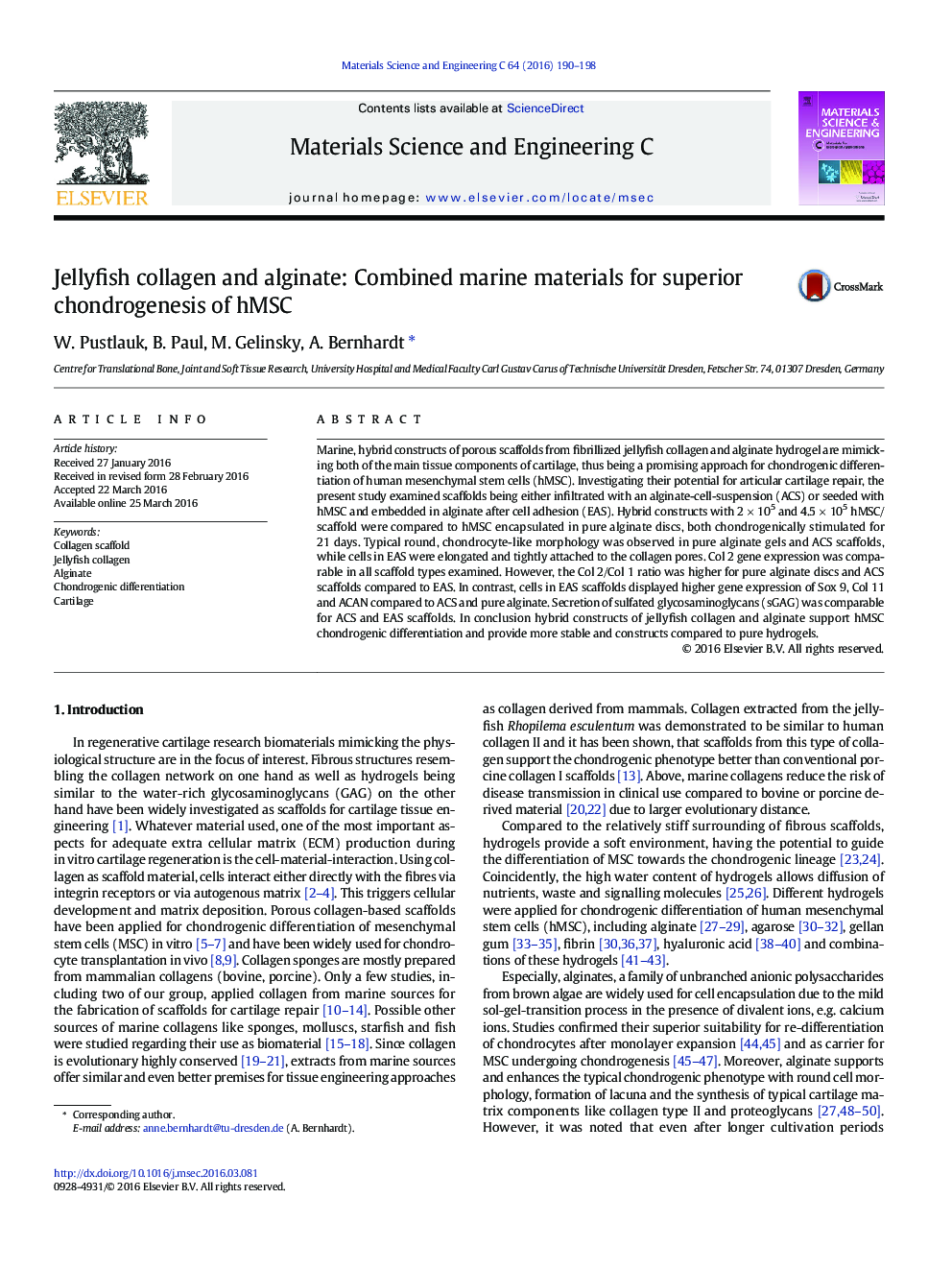 Jellyfish collagen and alginate: Combined marine materials for superior chondrogenesis of hMSC