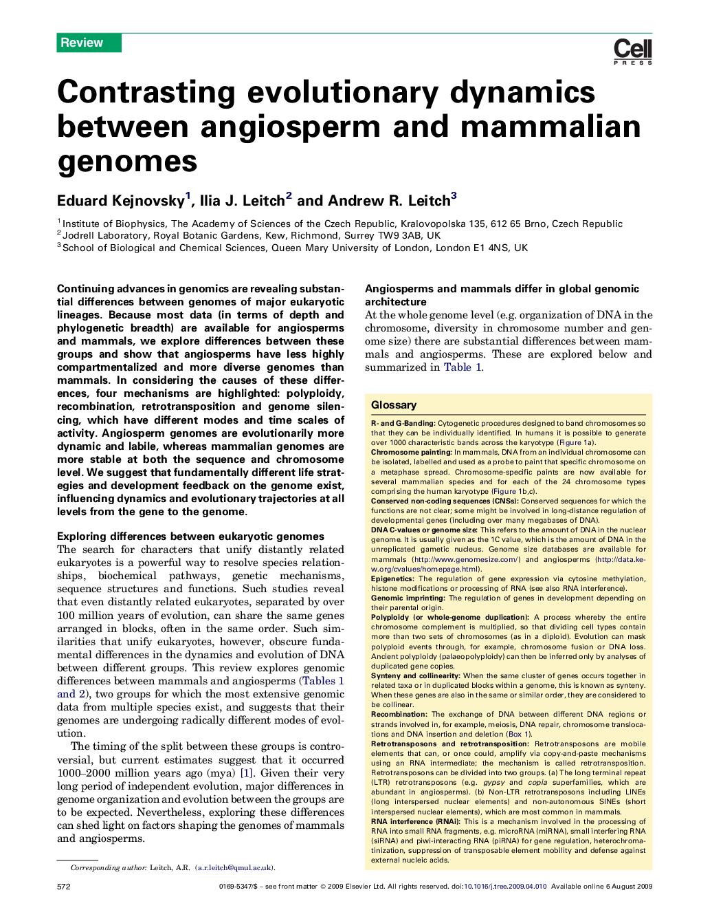 Contrasting evolutionary dynamics between angiosperm and mammalian genomes
