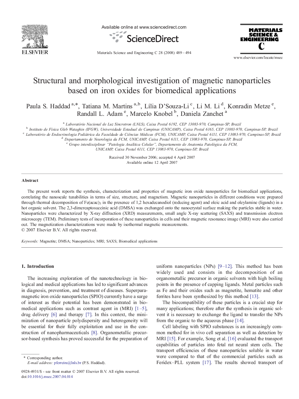 Structural and morphological investigation of magnetic nanoparticles based on iron oxides for biomedical applications