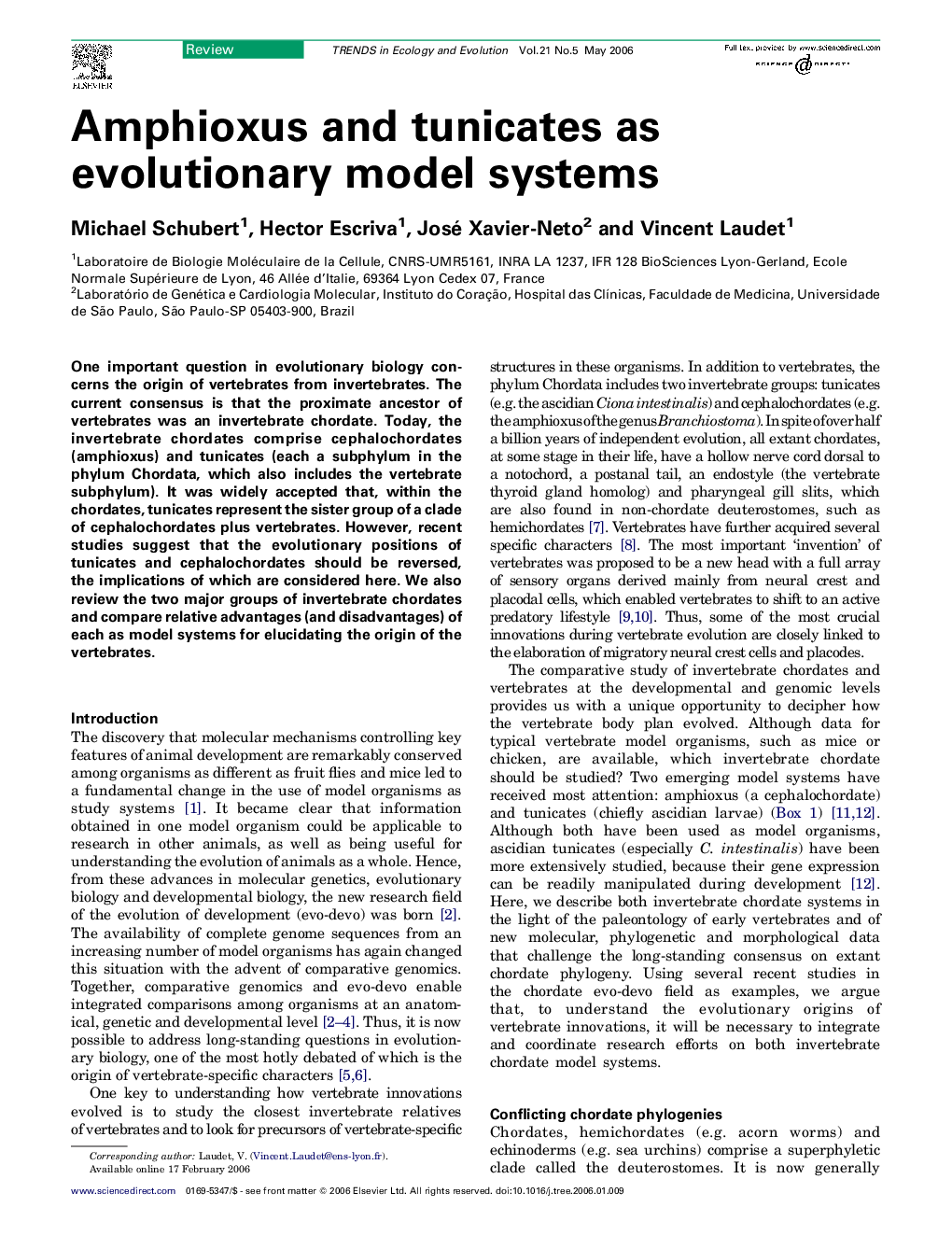 Amphioxus and tunicates as evolutionary model systems