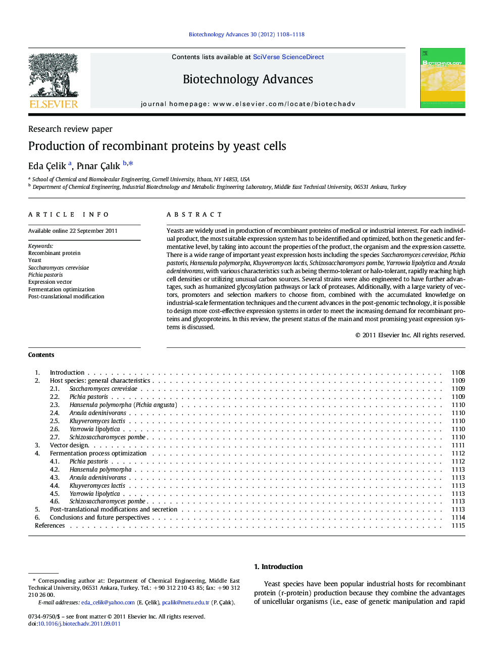 Production of recombinant proteins by yeast cells