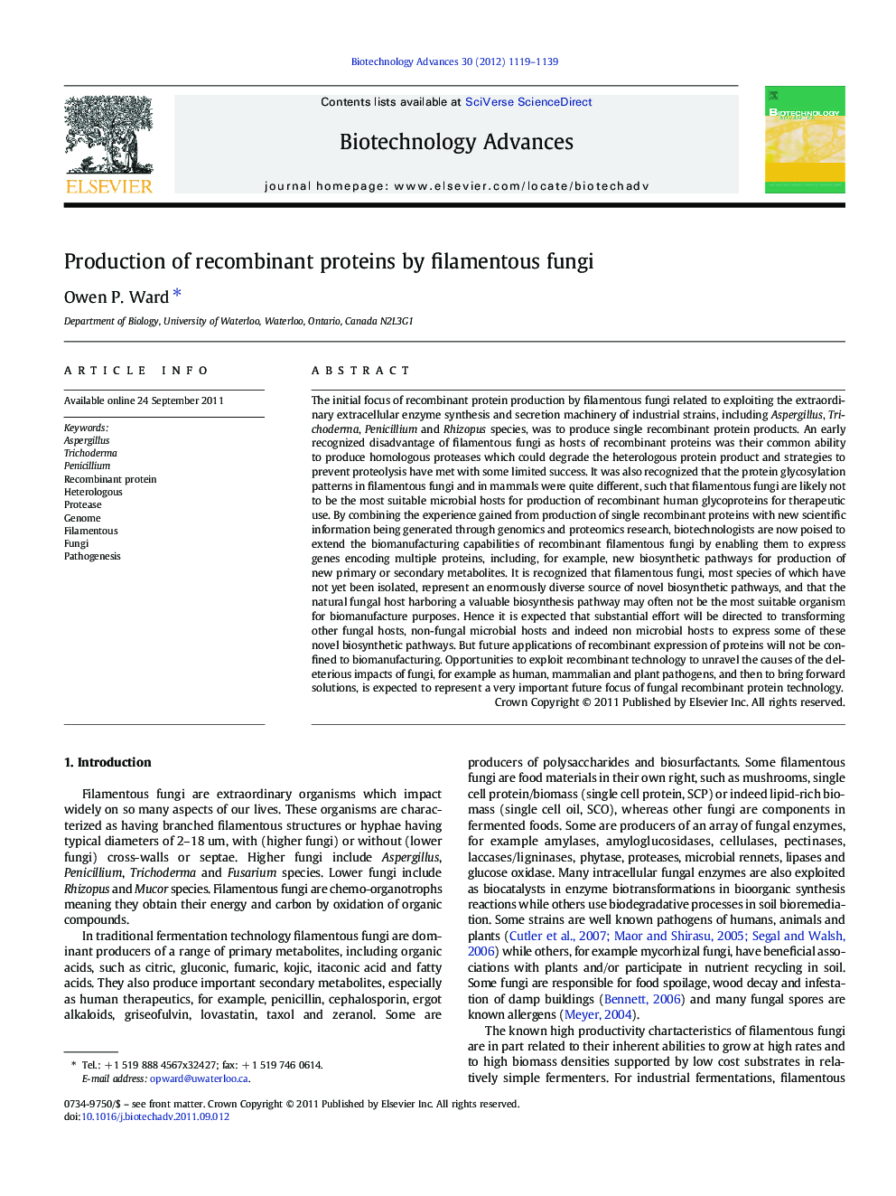 Production of recombinant proteins by filamentous fungi