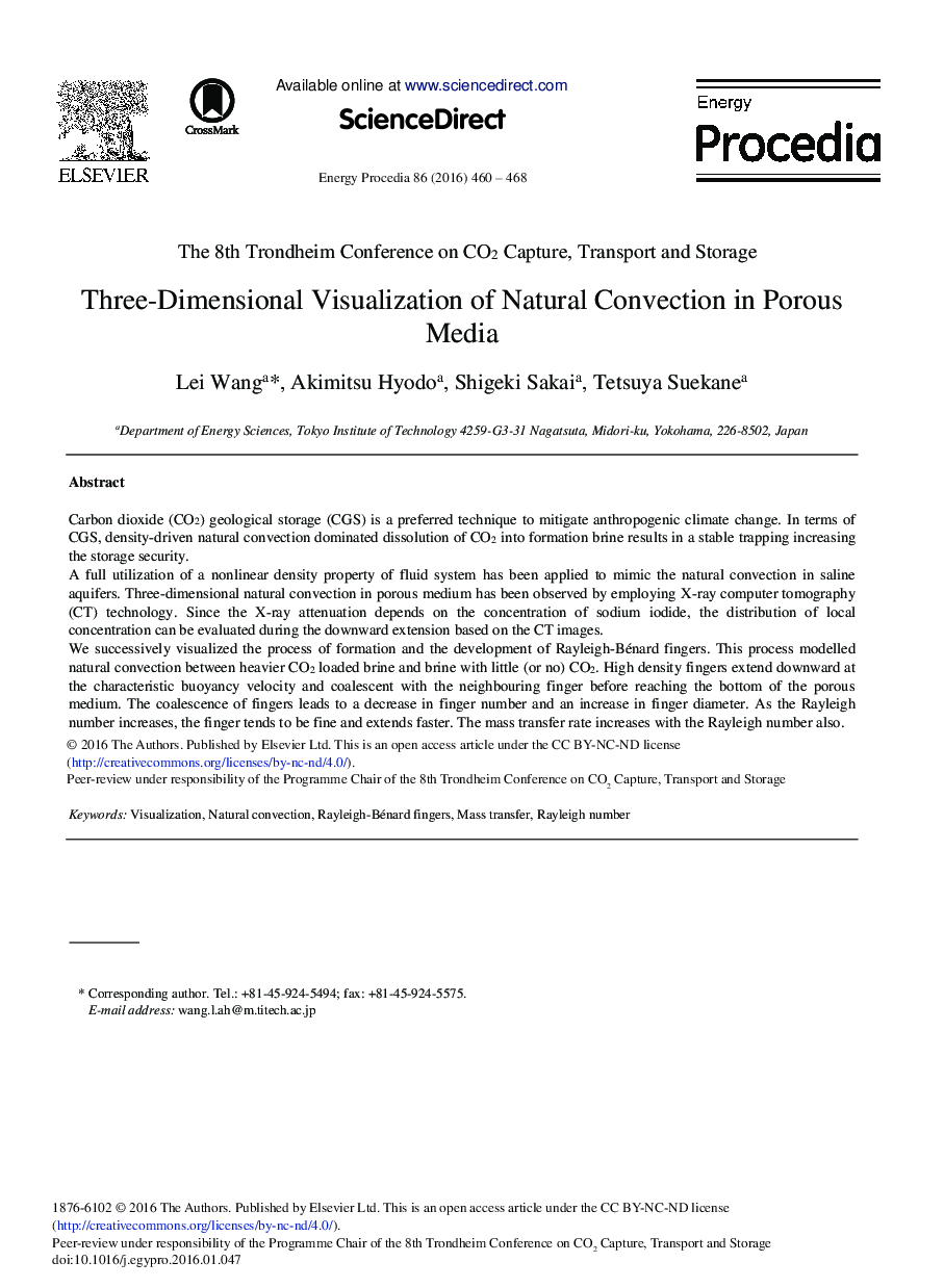 Three-Dimensional Visualization of Natural Convection in Porous Media 
