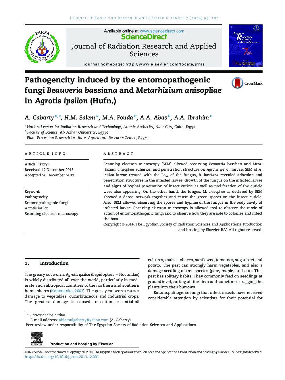 Pathogencity induced by the entomopathogenic fungi Beauveria bassiana and Metarhizium anisopliae in Agrotis ipsilon (Hufn.) 