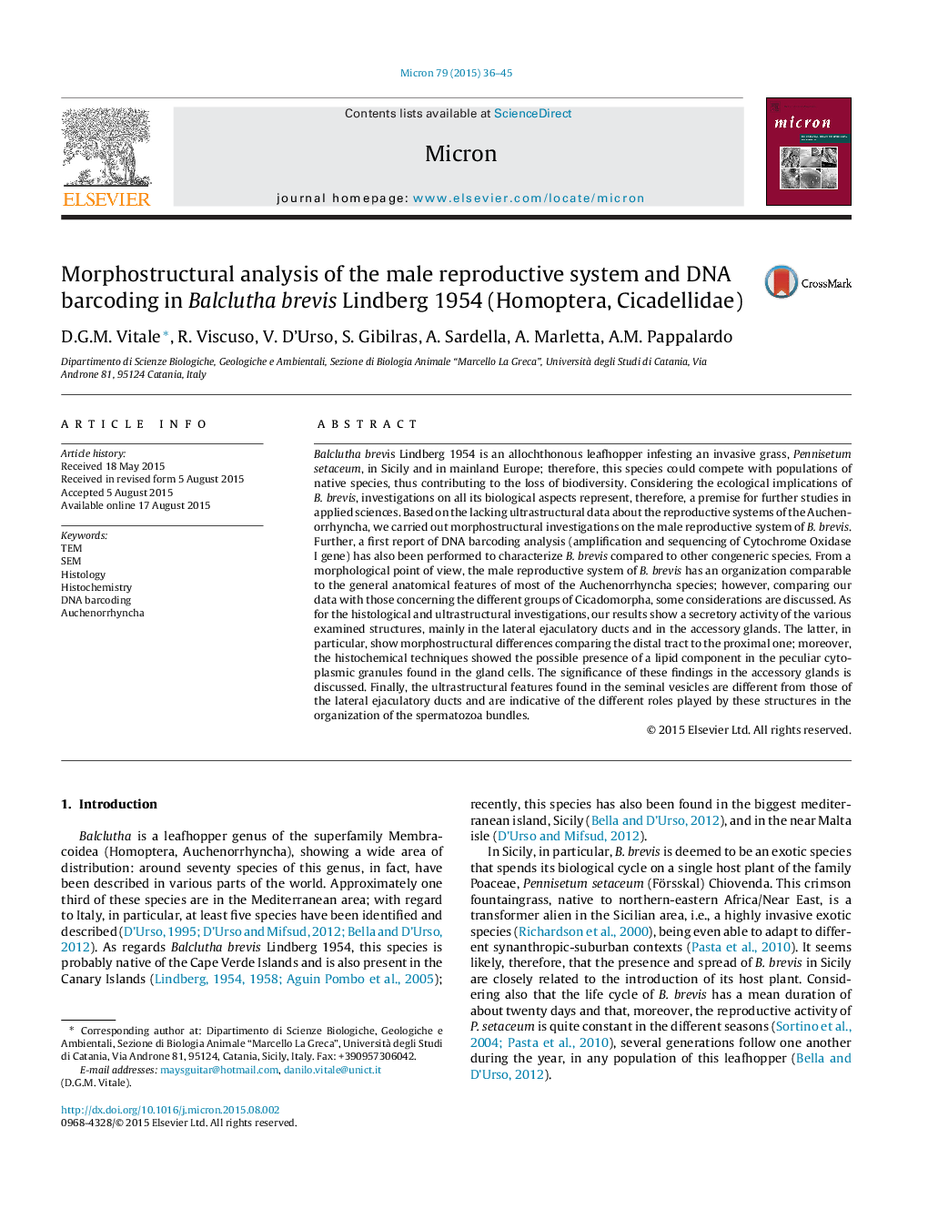 Morphostructural analysis of the male reproductive system and DNA barcoding in Balclutha brevis Lindberg 1954 (Homoptera, Cicadellidae)