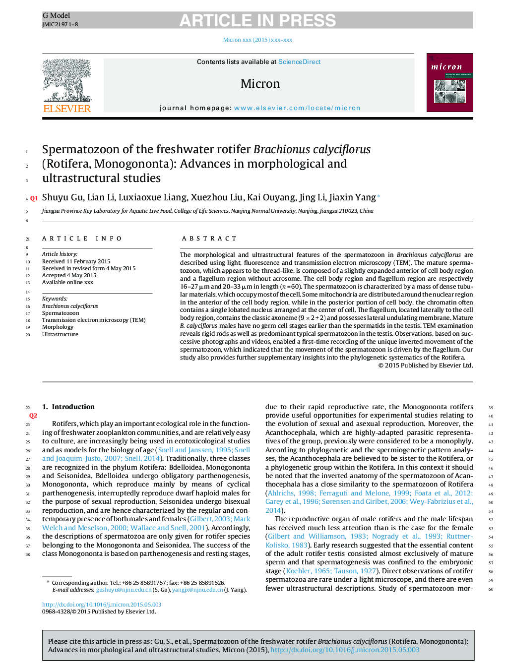 Spermatozoon of the freshwater rotifer Brachionus calyciflorus (Rotifera, Monogononta): Advances in morphological and ultrastructural studies