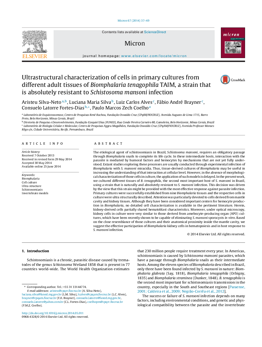 Ultrastructural characterization of cells in primary cultures from different adult tissues of Biomphalaria tenagophila TAIM, a strain that is absolutely resistant to Schistosoma mansoni infection