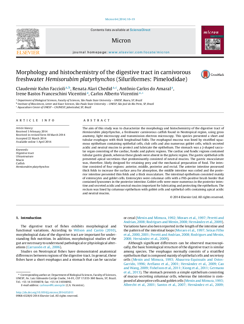 Morphology and histochemistry of the digestive tract in carnivorous freshwater Hemisorubim platyrhynchos (Siluriformes: Pimelodidae)