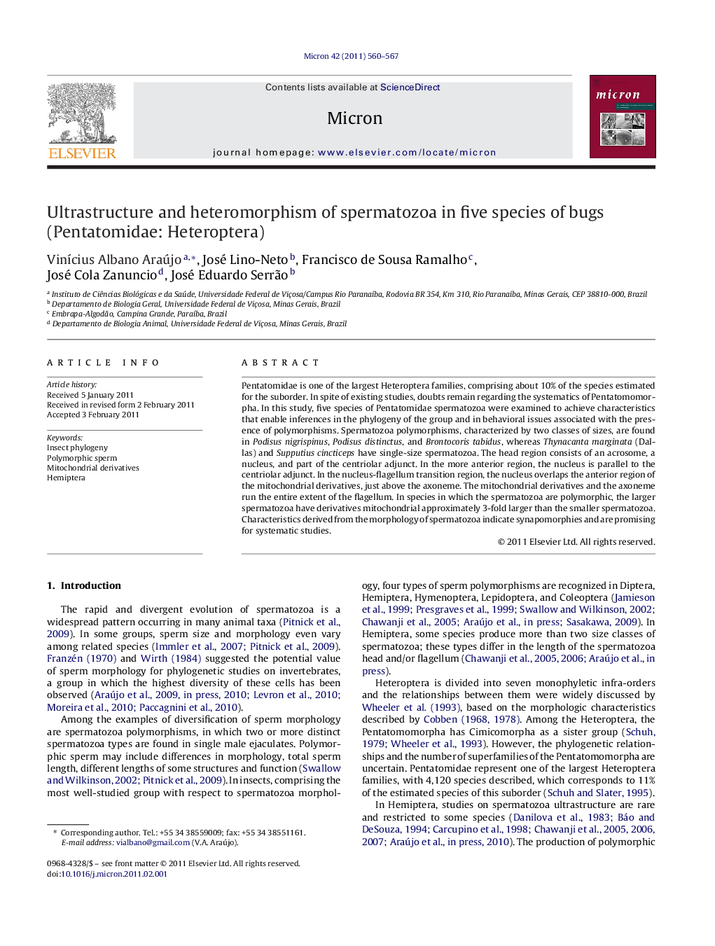 Ultrastructure and heteromorphism of spermatozoa in five species of bugs (Pentatomidae: Heteroptera)