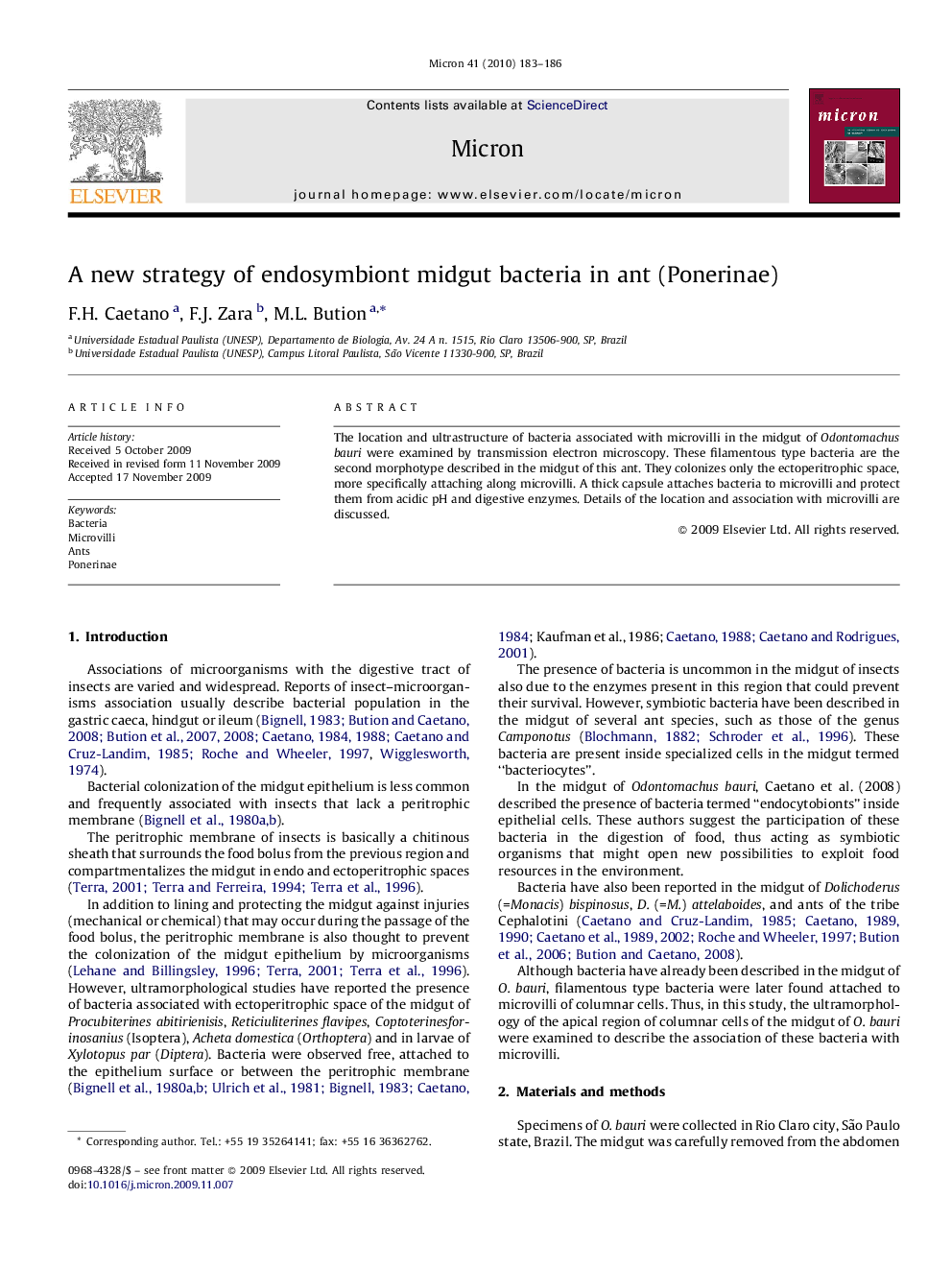 A new strategy of endosymbiont midgut bacteria in ant (Ponerinae)