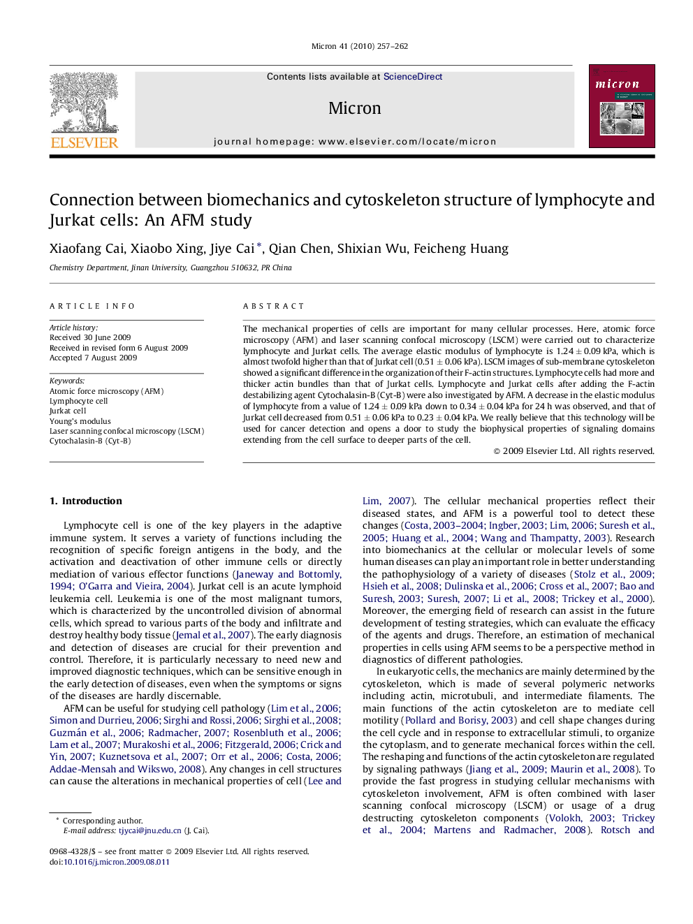 Connection between biomechanics and cytoskeleton structure of lymphocyte and Jurkat cells: An AFM study