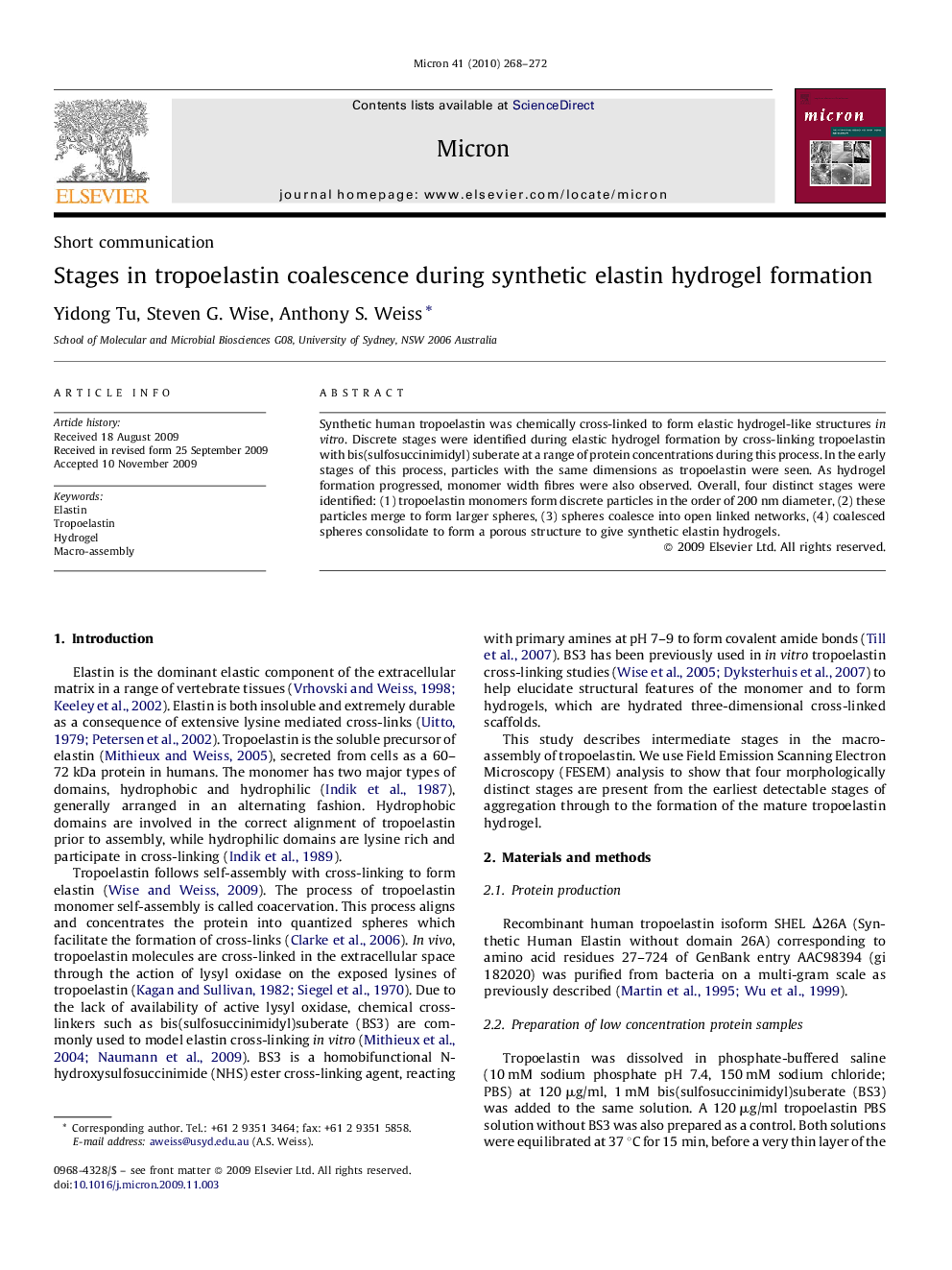 Stages in tropoelastin coalescence during synthetic elastin hydrogel formation