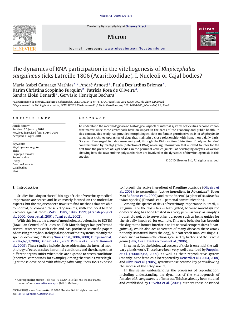 The dynamics of RNA participation in the vitellogenesis of Rhipicephalus sanguineus ticks Latreille 1806 (Acari:Ixodidae). I. Nucleoli or Cajal bodies?