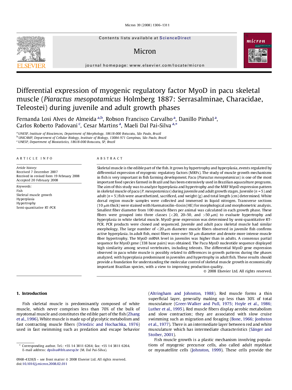 Differential expression of myogenic regulatory factor MyoD in pacu skeletal muscle (Piaractus mesopotamicus Holmberg 1887: Serrasalminae, Characidae, Teleostei) during juvenile and adult growth phases