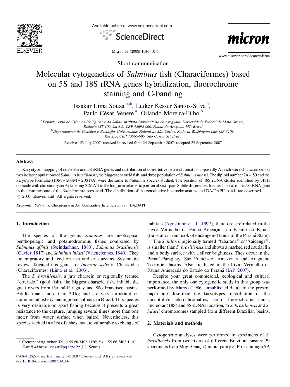 Molecular cytogenetics of Salminus fish (Characiformes) based on 5S and 18S rRNA genes hybridization, fluorochrome staining and C-banding