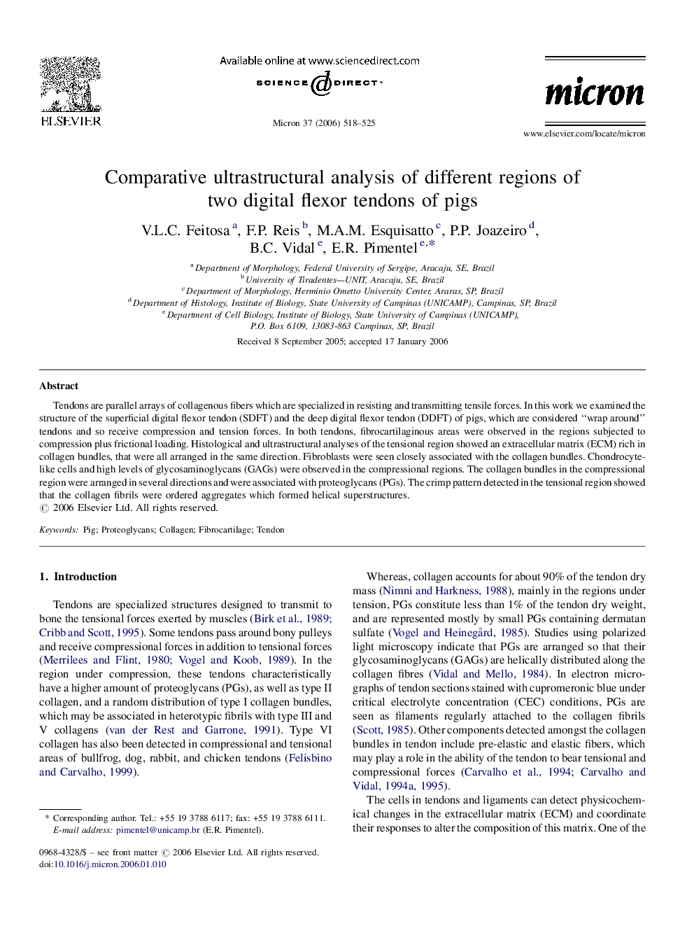 Comparative ultrastructural analysis of different regions of two digital flexor tendons of pigs