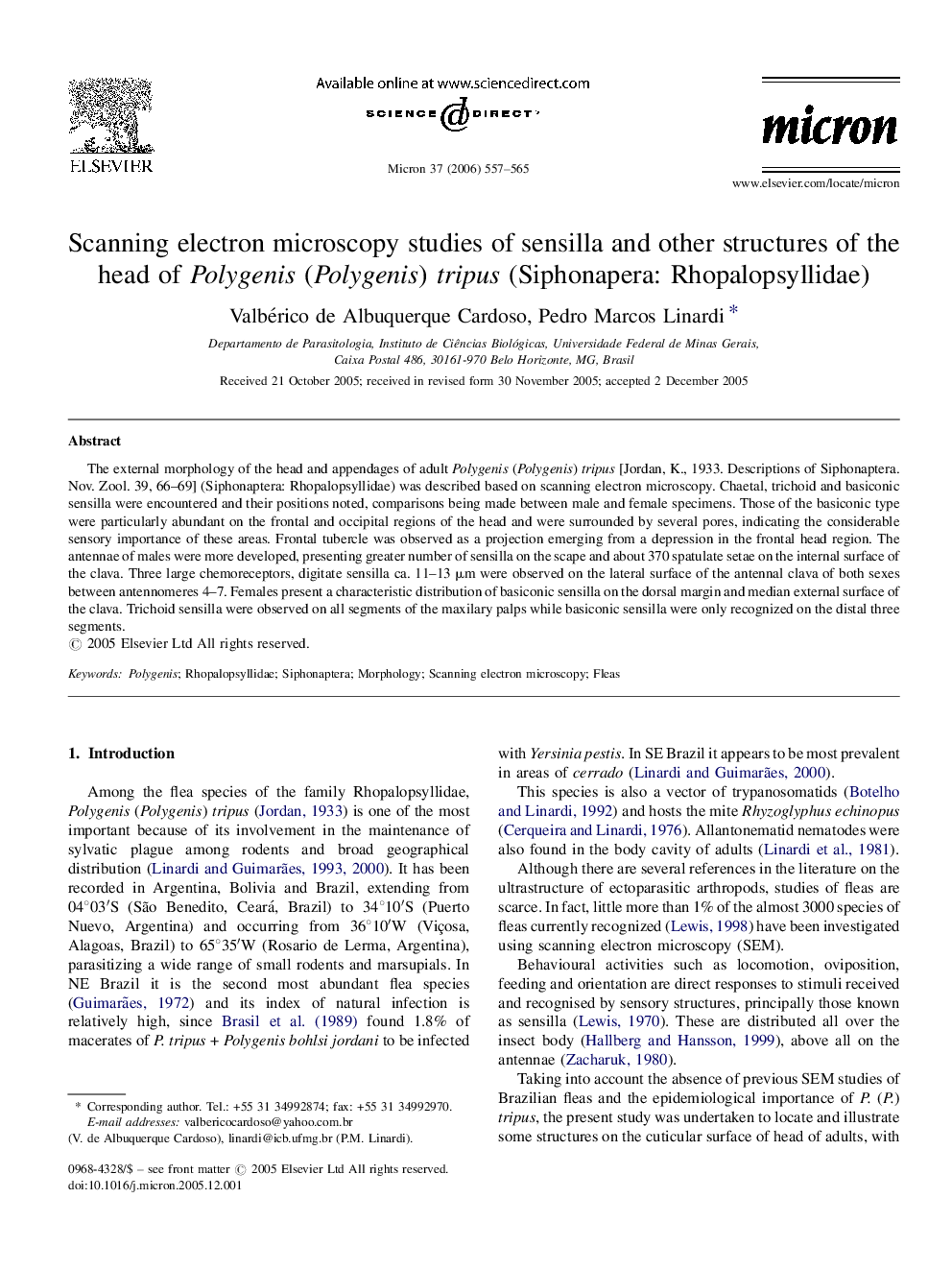 Scanning electron microscopy studies of sensilla and other structures of the head of Polygenis (Polygenis) tripus (Siphonapera: Rhopalopsyllidae)