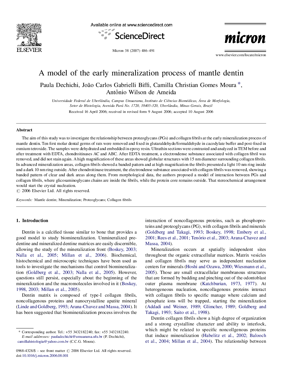 A model of the early mineralization process of mantle dentin