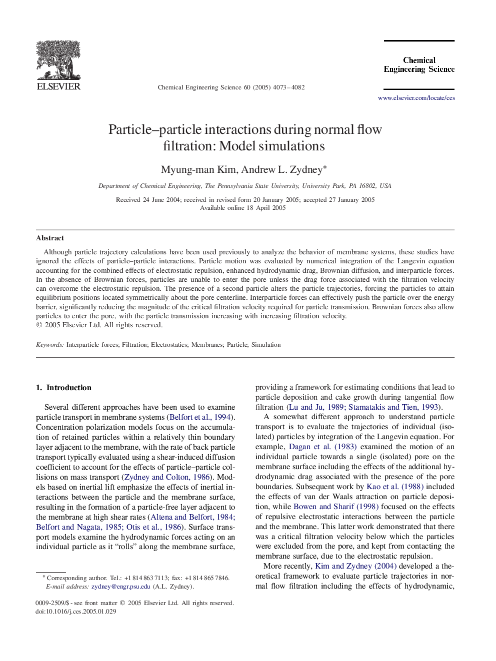 Particle–particle interactions during normal flow filtration: Model simulations