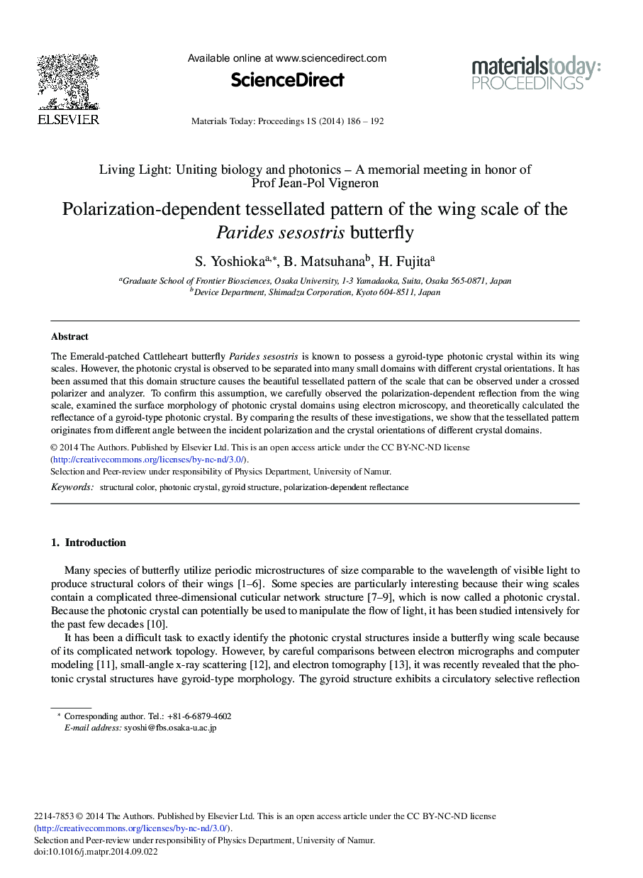 Polarization-dependent Tessellated Pattern of the Wing Scale of the Parides Sesostris Butterfly 