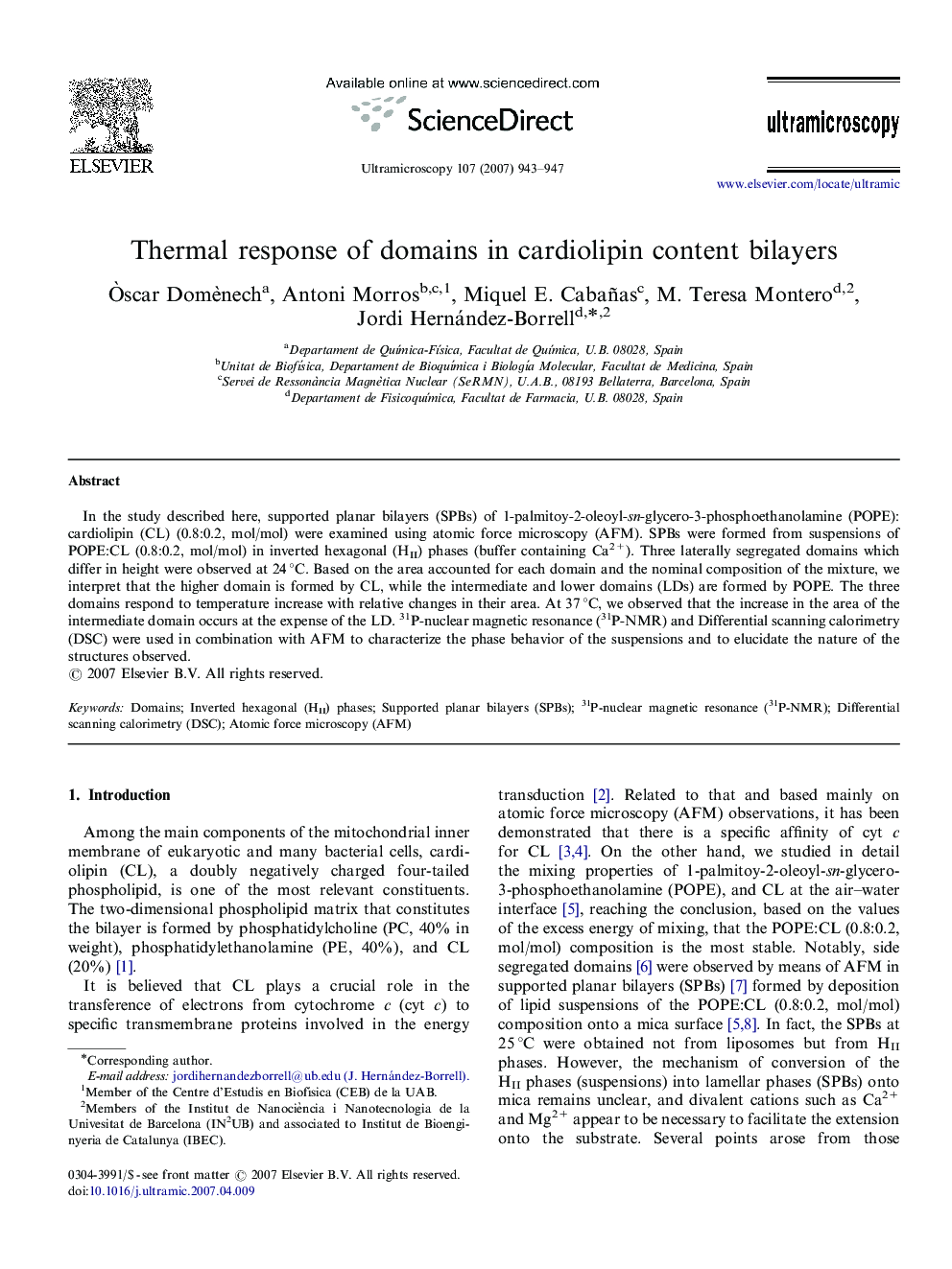 Thermal response of domains in cardiolipin content bilayers