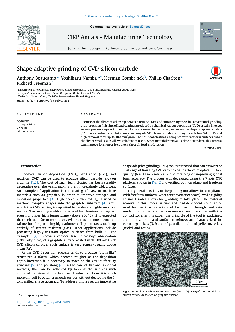 Shape adaptive grinding of CVD silicon carbide