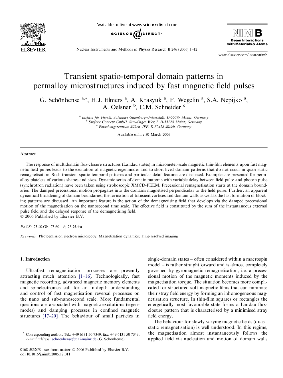 Transient spatio-temporal domain patterns in permalloy microstructures induced by fast magnetic field pulses