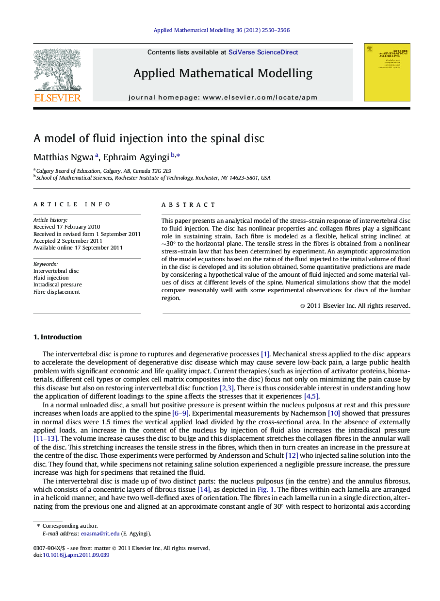 A model of fluid injection into the spinal disc