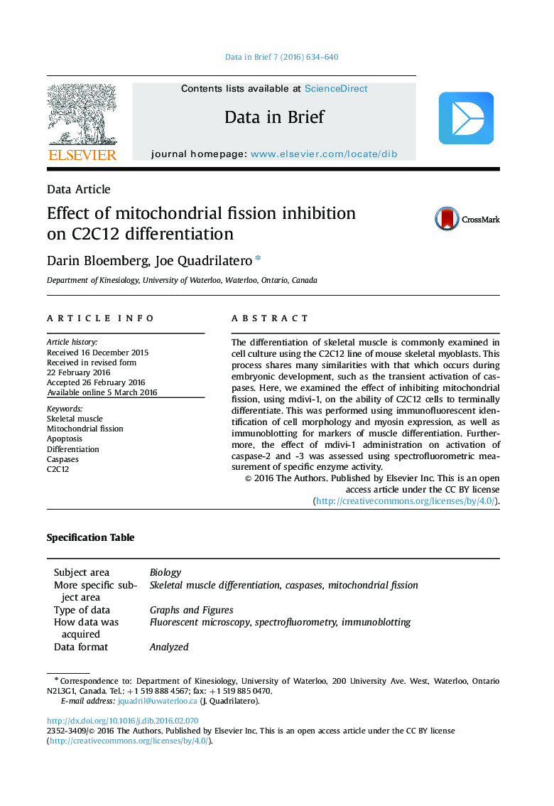 Effect of mitochondrial fission inhibition on C2C12 differentiation