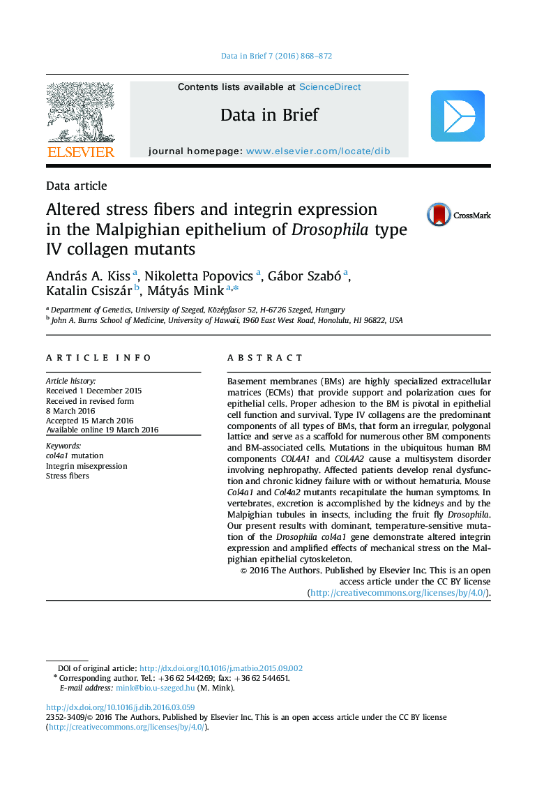 Altered stress fibers and integrin expression in the Malpighian epithelium of Drosophila type IV collagen mutants