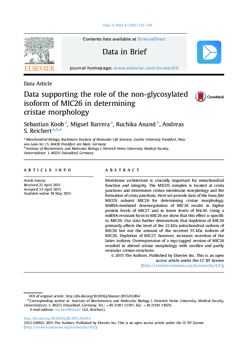 Data supporting the role of the non-glycosylated isoform of MIC26 in determining cristae morphology
