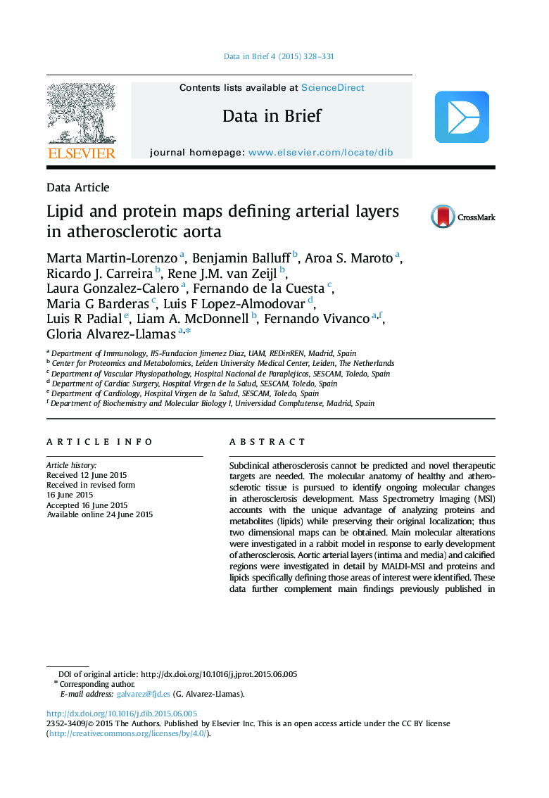 Lipid and protein maps defining arterial layers in atherosclerotic aorta