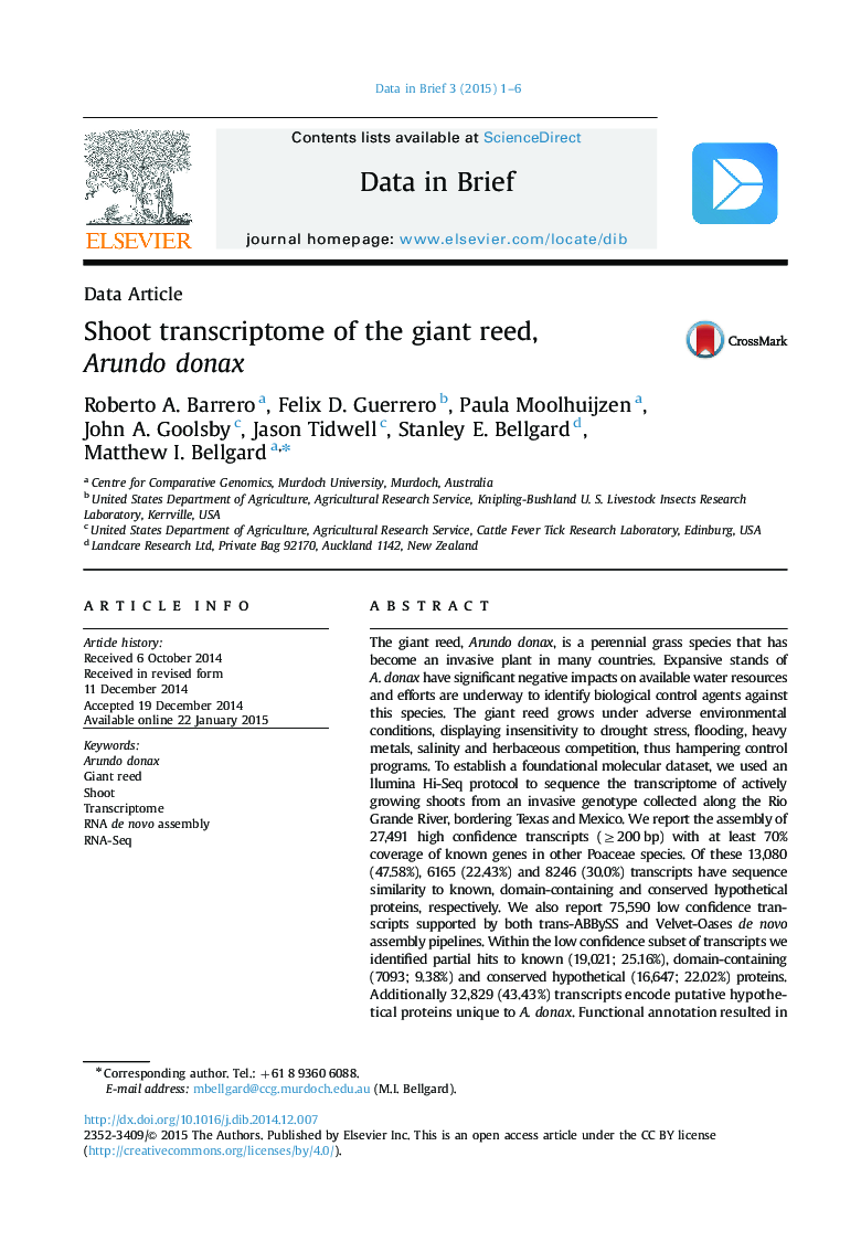 Shoot transcriptome of the giant reed, Arundo donax