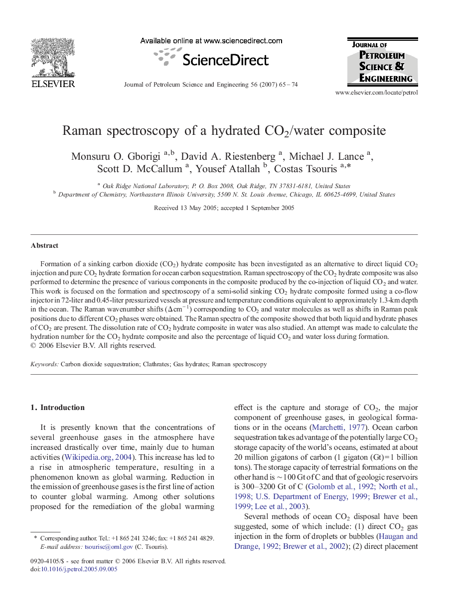 Raman spectroscopy of a hydrated CO2/water composite