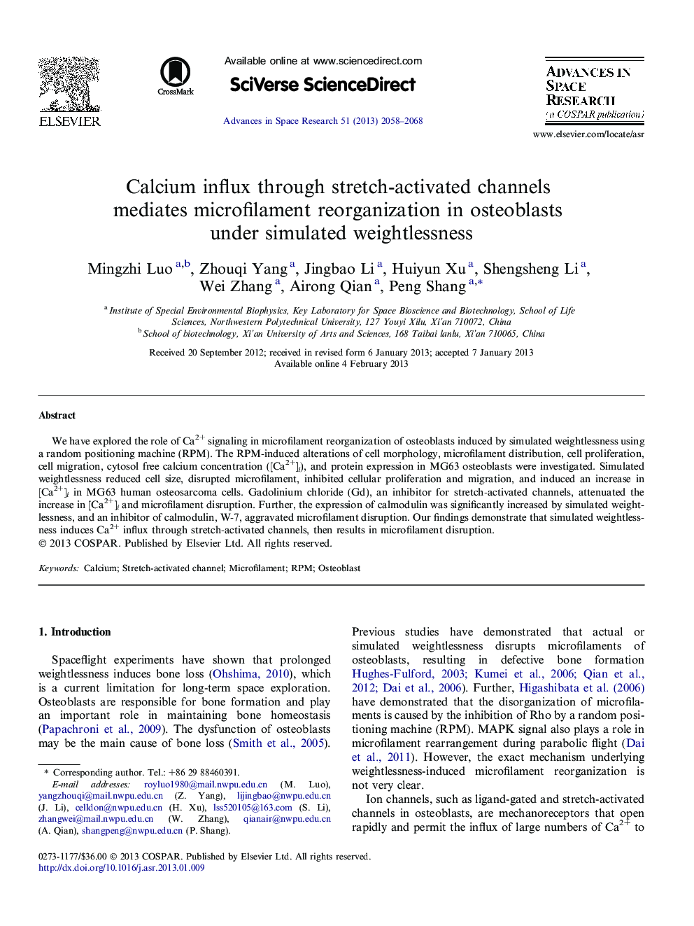 Calcium influx through stretch-activated channels mediates microfilament reorganization in osteoblasts under simulated weightlessness