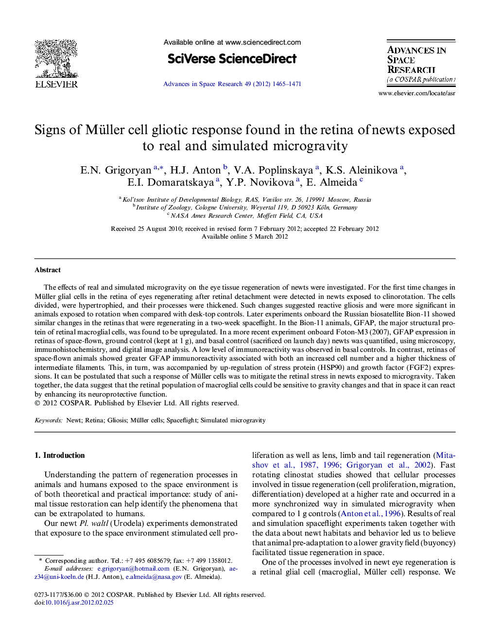 Signs of Müller cell gliotic response found in the retina of newts exposed to real and simulated microgravity