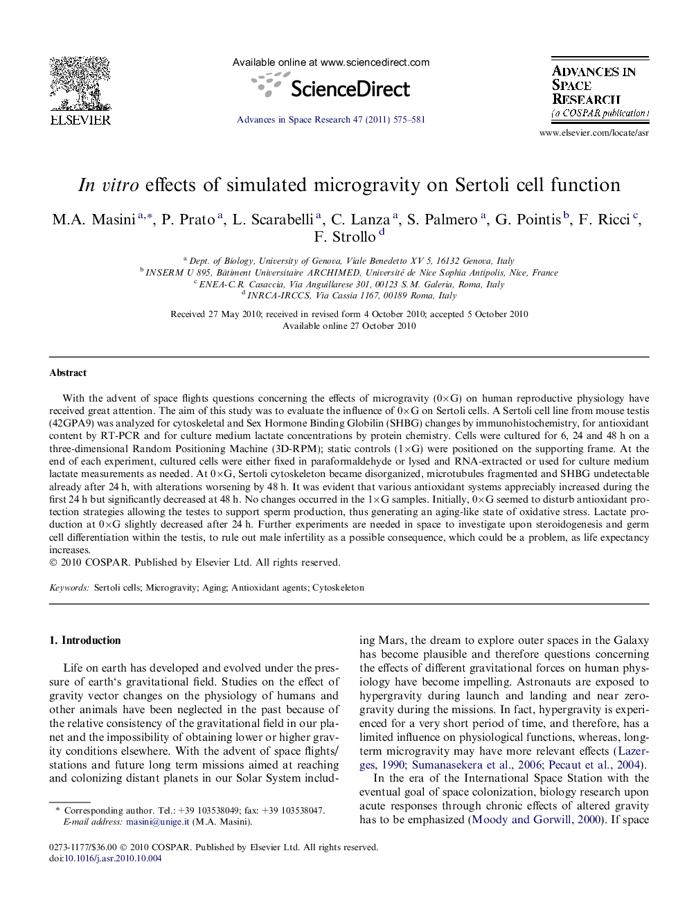 In vitro effects of simulated microgravity on Sertoli cell function