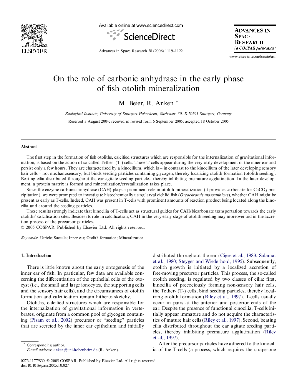 On the role of carbonic anhydrase in the early phase of fish otolith mineralization