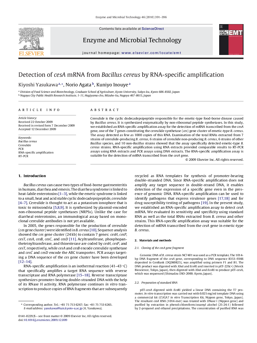 Detection of cesA mRNA from Bacillus cereus by RNA-specific amplification