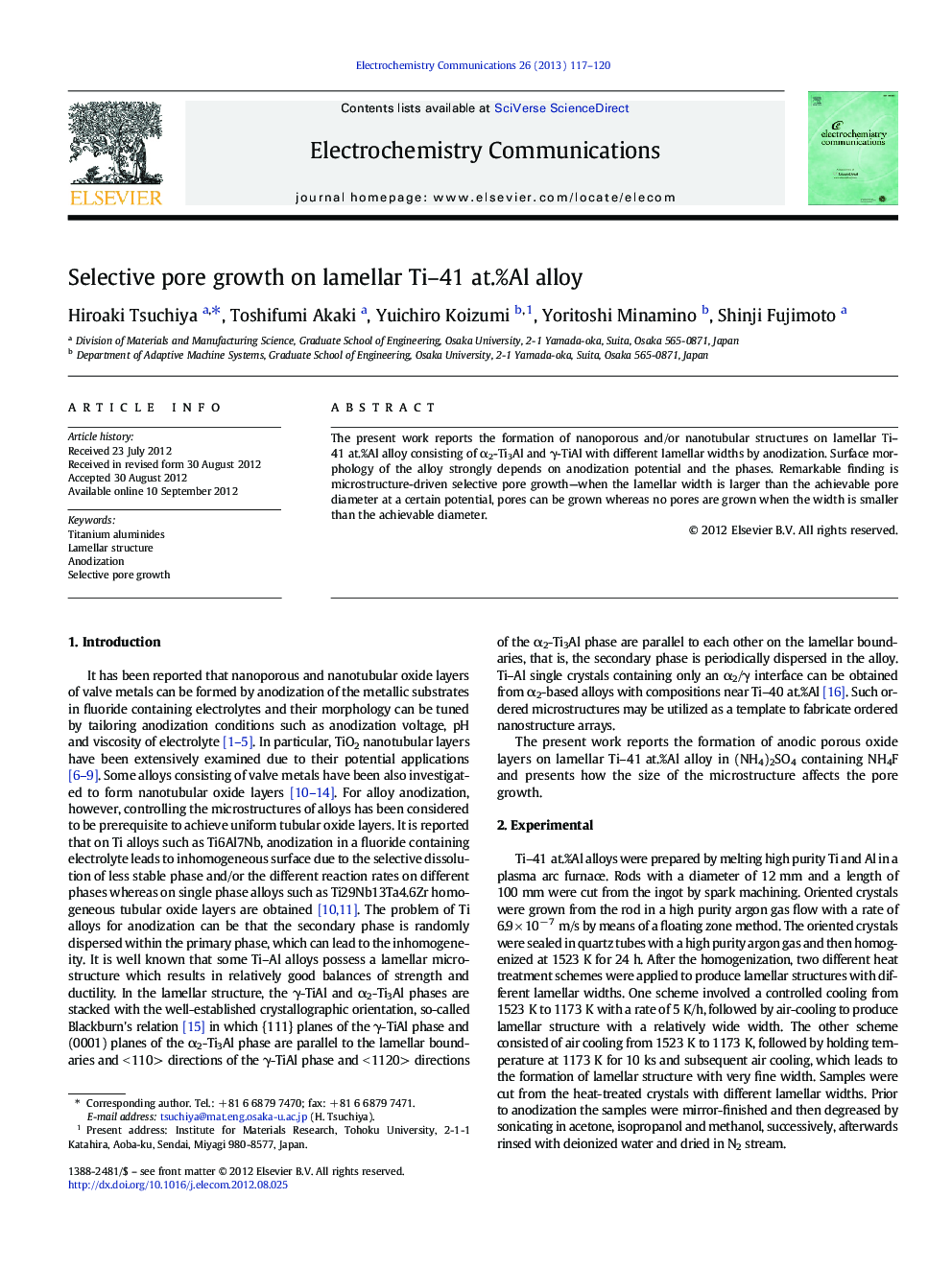 Selective pore growth on lamellar Ti–41 at.%Al alloy