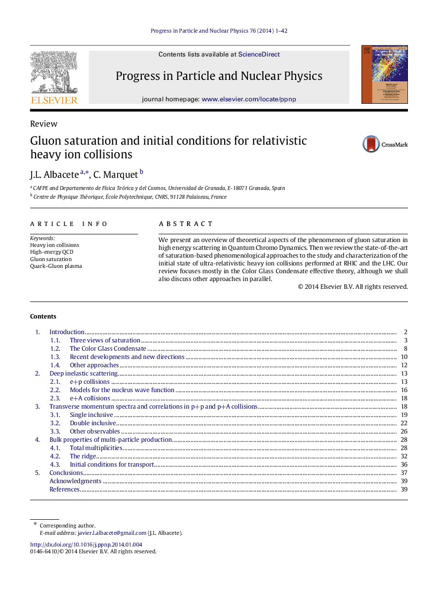 Gluon saturation and initial conditions for relativistic heavy ion collisions